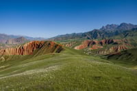 grassland-9787999_1920